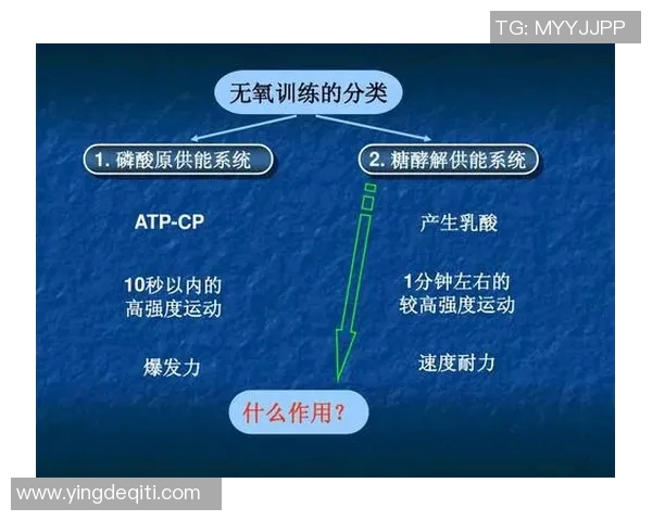 杭州羽毛球队整体压制战术解析与实战应用探讨 杭州羽毛球队整体压制战术解析与实战应用探讨