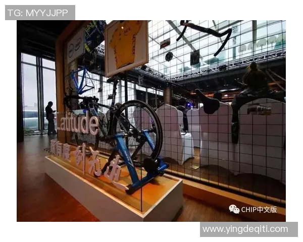 南京排球队的节奏革新探索与实践引领新风潮