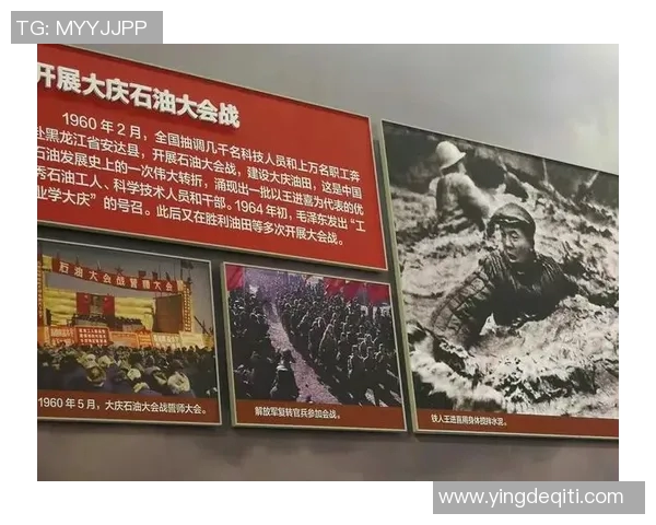 杭州排球队的奋斗与荣耀：城市联赛背后的故事与突破历程