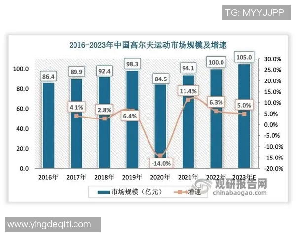 武汉羽毛球队战术解析与比赛策略探讨助力球队提升竞技水平 武汉羽毛球队战术解析与比赛策略探讨助力球队提升竞技水平